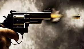 REWA : बहन के विवाद में साले ने बहनोई पर चलाई गोली